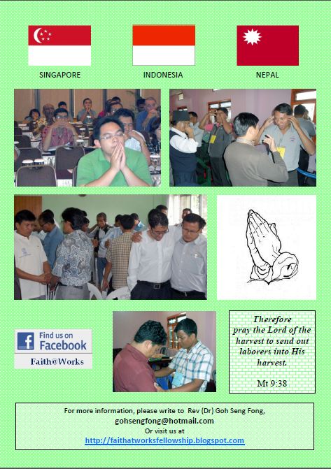 FAW_2011 report final A capture b